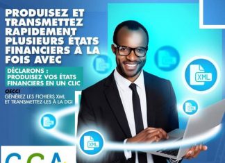 DECLARONS.COM, votre solution en ligne de production des états financiers de synthèse et de déclarations fiscales selon les normes OHADA